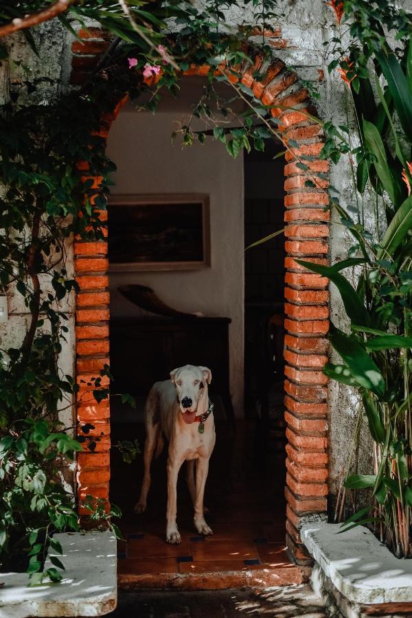 Hosteria Chata Adults Only Lo de Marcos Luaran gambar